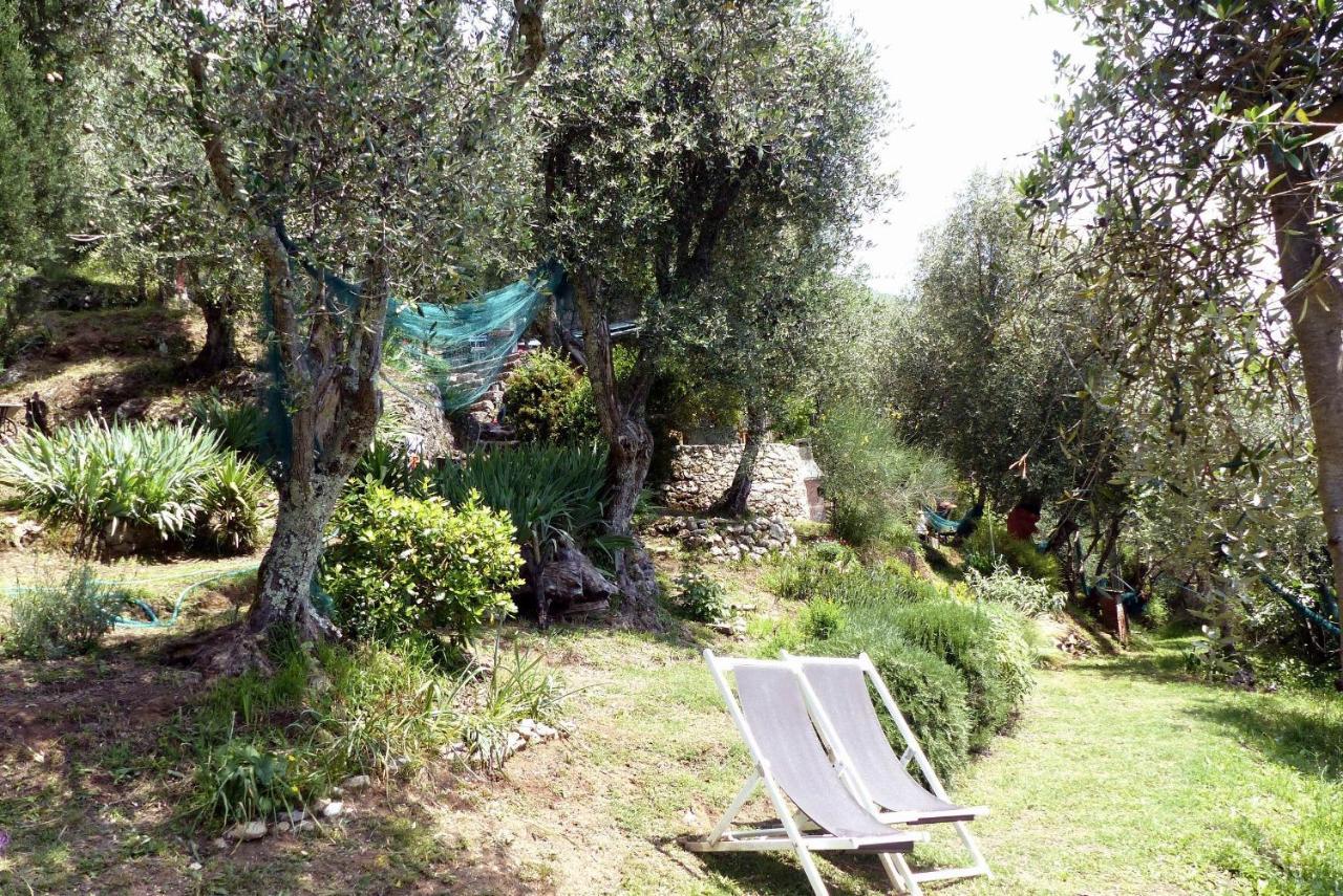 Villa Il Giaggiolo Camaiore Exterior foto
